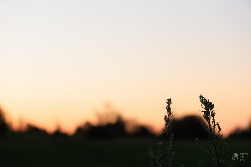 Природа и пейзажи