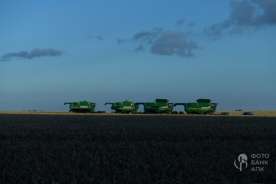 Техника в поле, сумерки