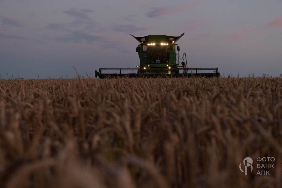 Техника в поле, сумерки