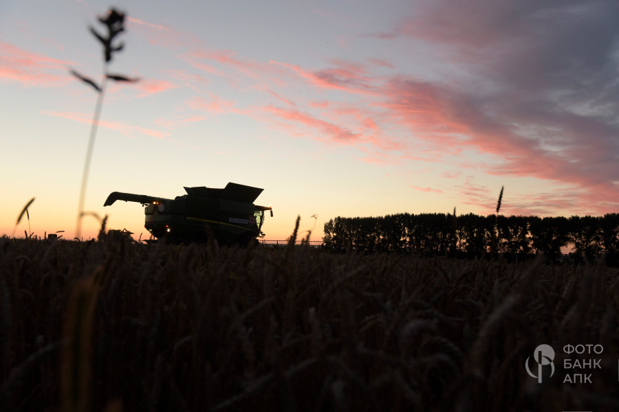Техника в поле, сумерки