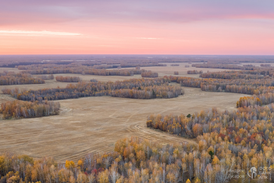 Рассветные поля. Золотая осень во всей своей красе.