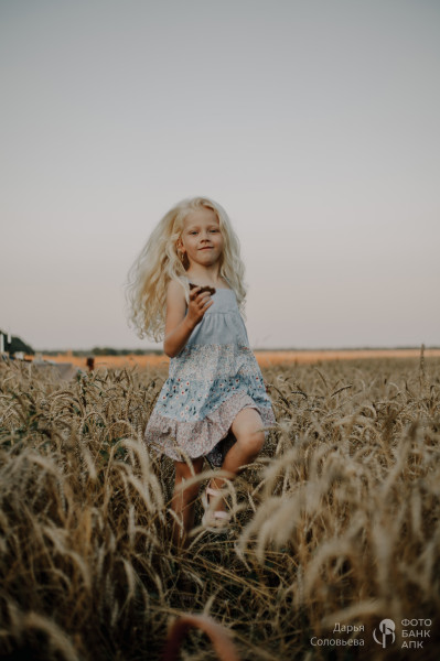 Золотой урожай