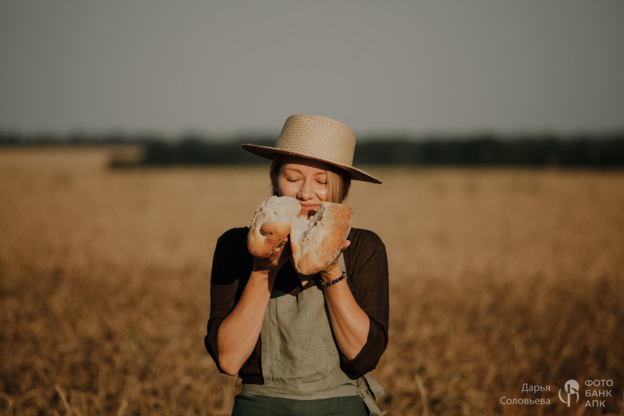 Золотой урожай