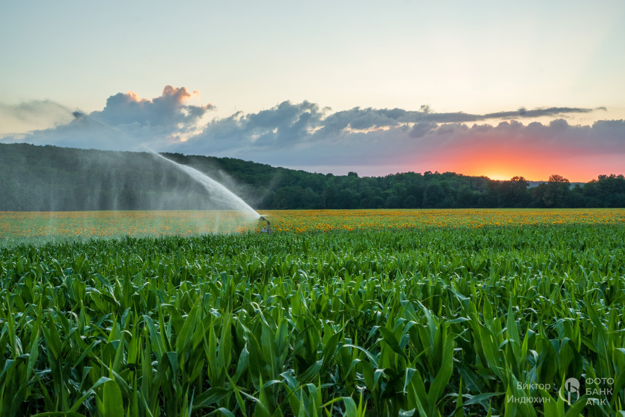 Палитра урожая.