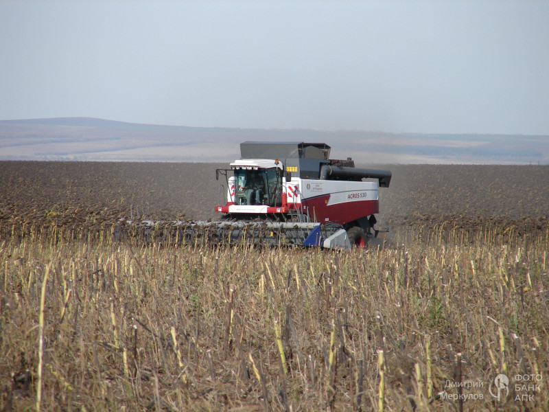 Уборка подсолнечника