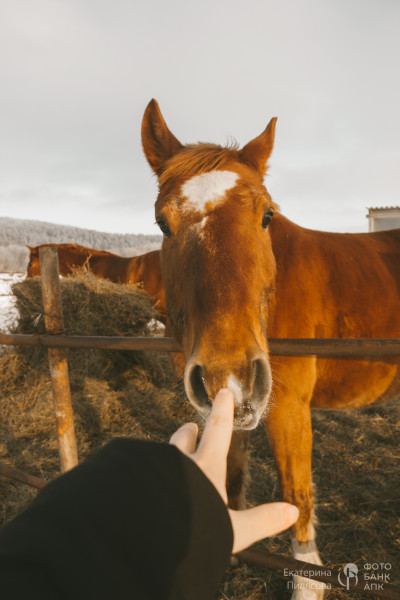 В сердце природы