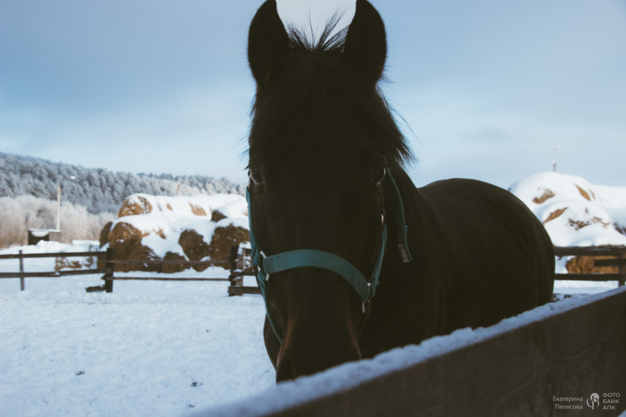 В сердце природы