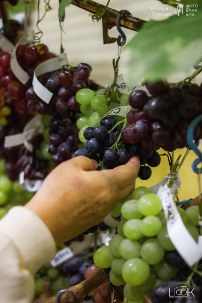 В сердце природы