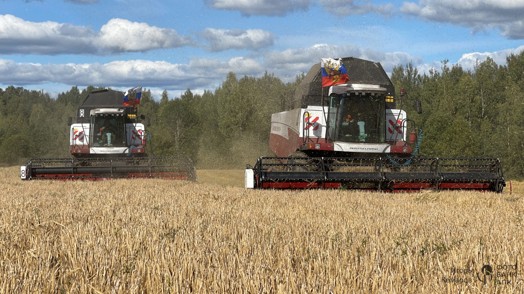 Уборка ярового ячменя