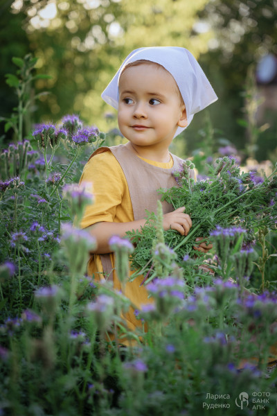 Маленькая девочка в природе и красоте сельской жизни