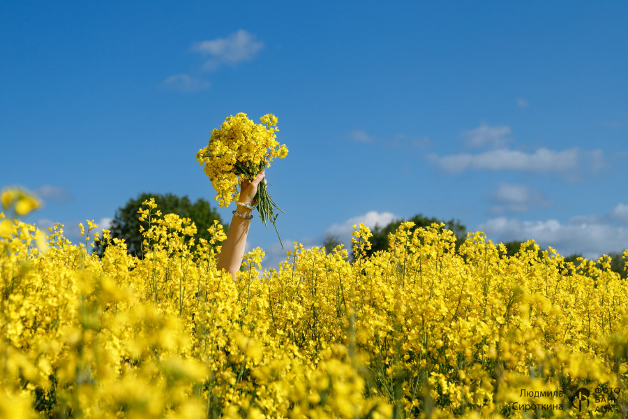 Я нарисую мир таким каким люблю!