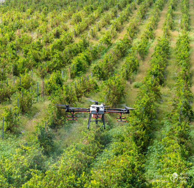 Опрыскивание