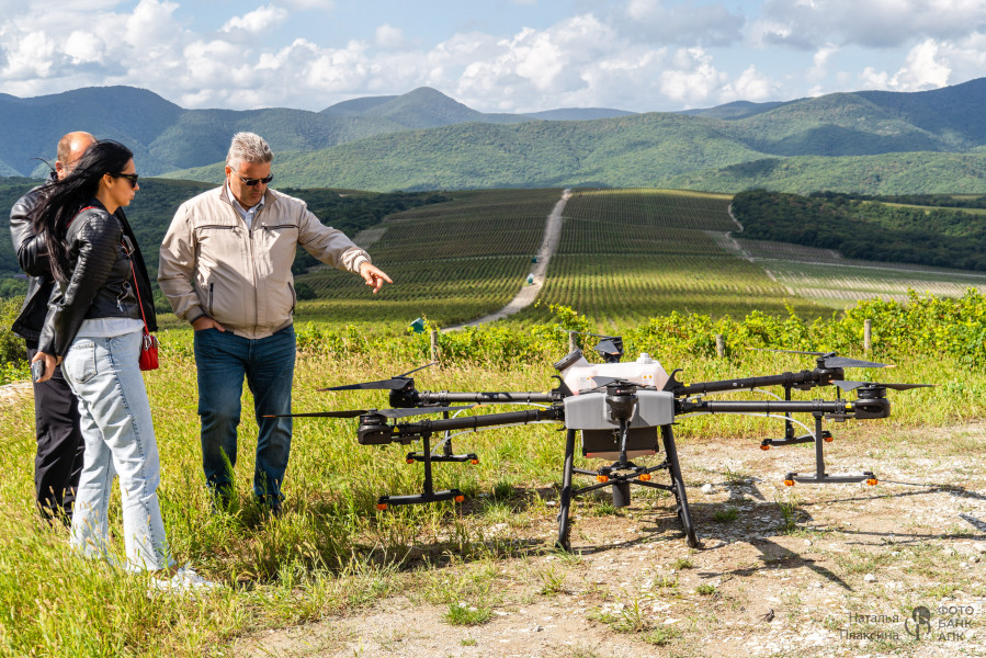 Опрыскивание