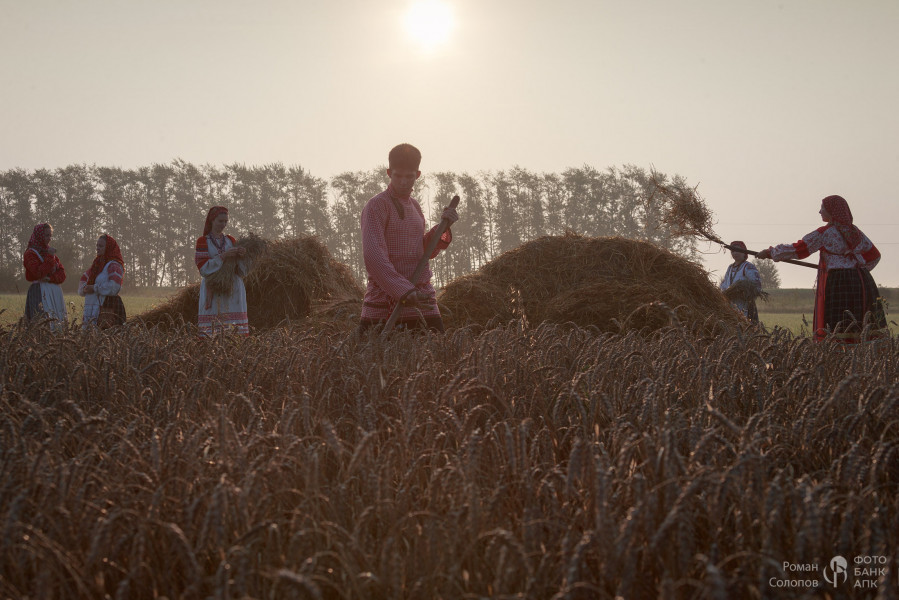 Сохраняя прошлое, возделываем будущее
