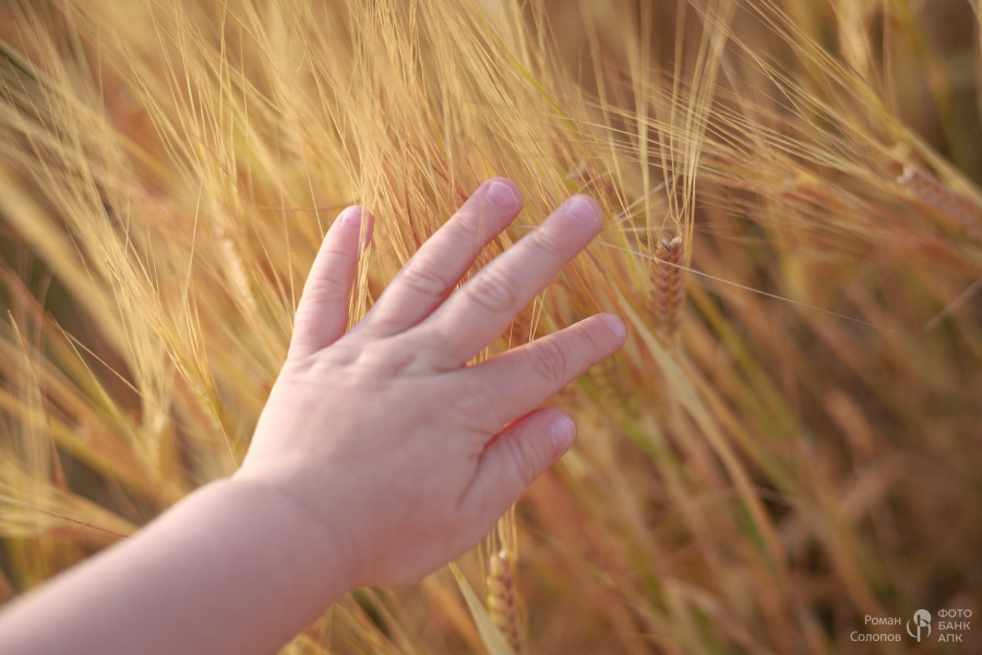 Сохраняя прошлое, возделываем будущее