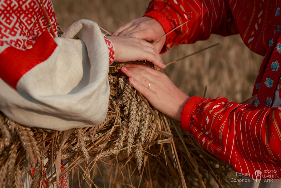 Сохраняя прошлое, возделываем будущее