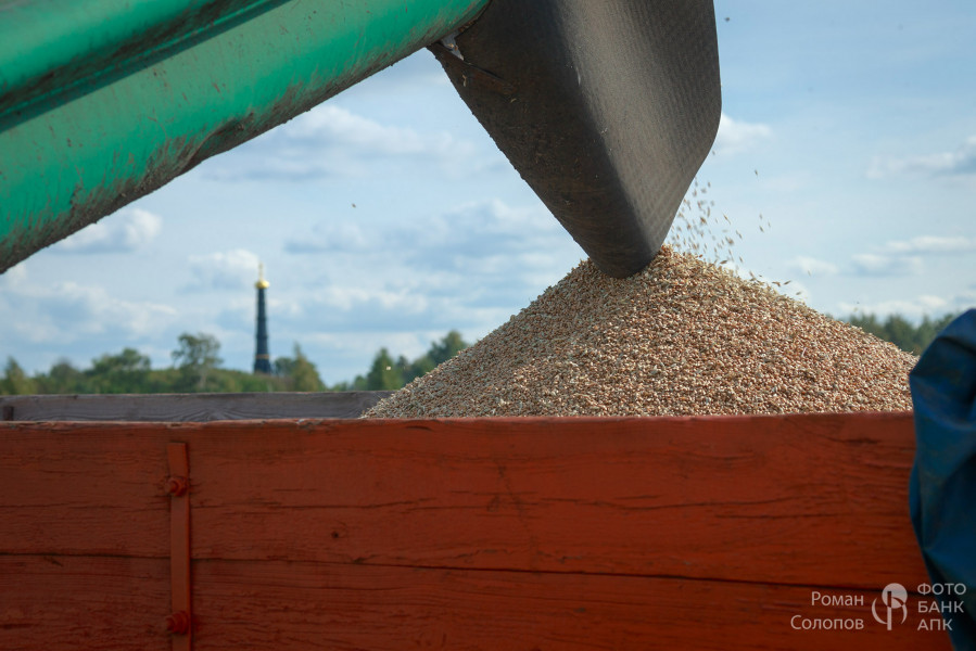 Сохраняя прошлое, возделываем будущее