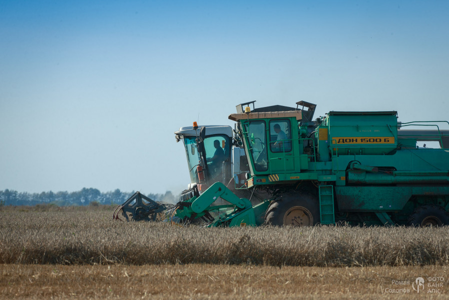 Сохраняя прошлое, возделываем будущее