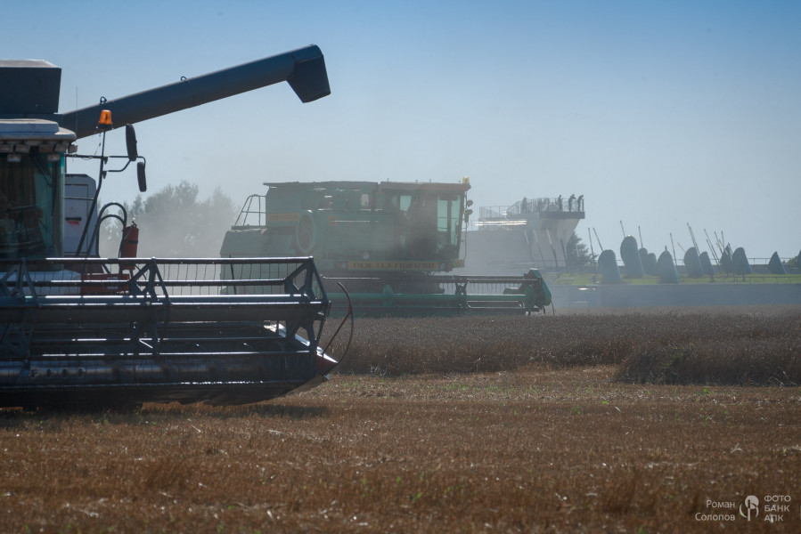 Сохраняя прошлое, возделываем будущее