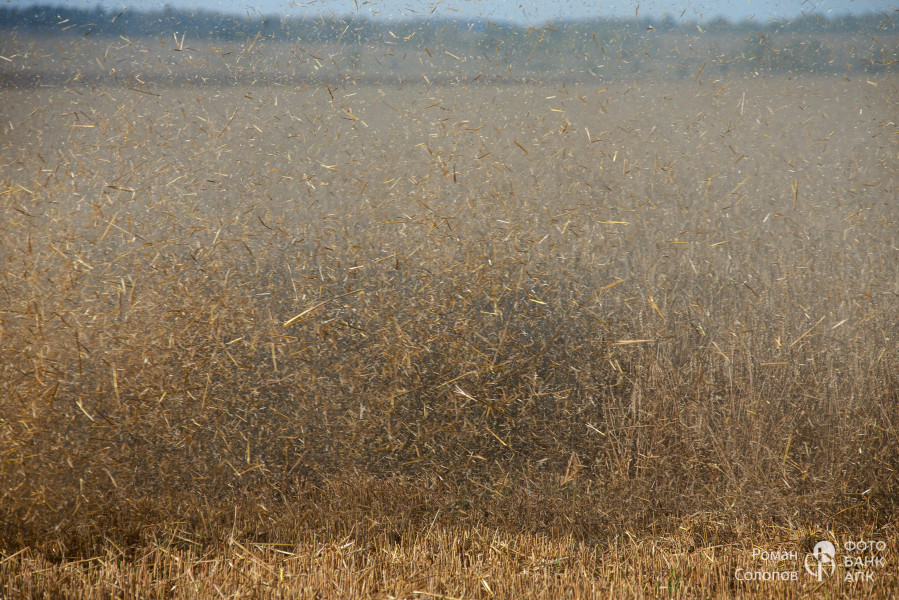 Сохраняя прошлое, возделываем будущее