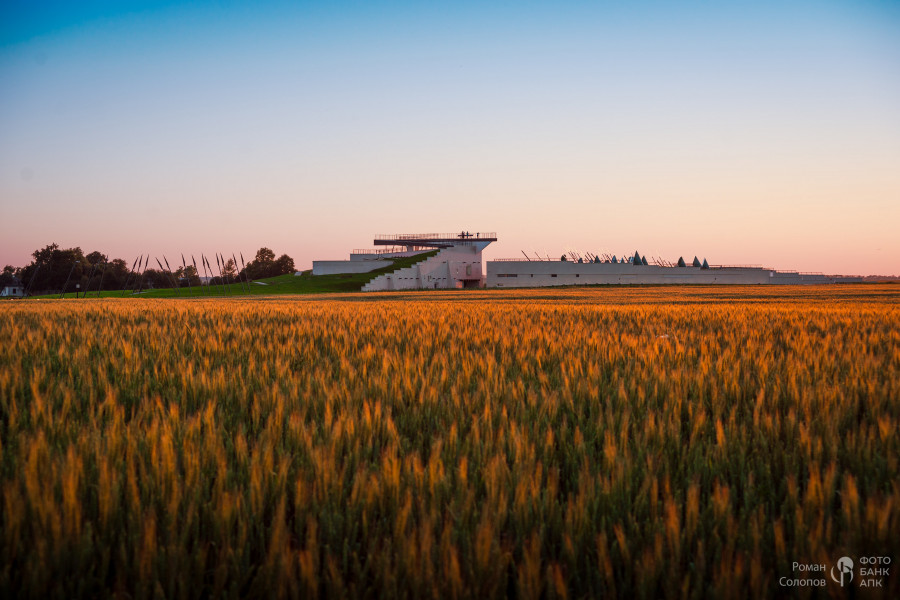 Сохраняя прошлое, возделываем будущее