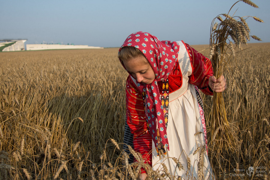 Сохраняя прошлое, возделываем будущее