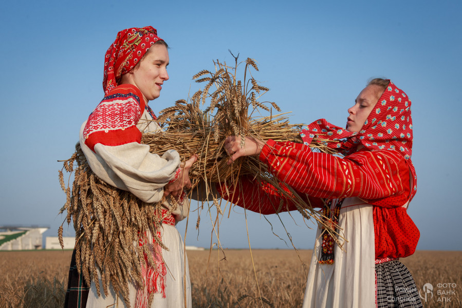 Сохраняя прошлое, возделываем будущее