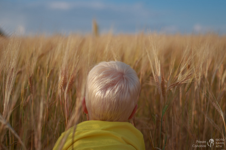 Сохраняя прошлое, возделываем будущее