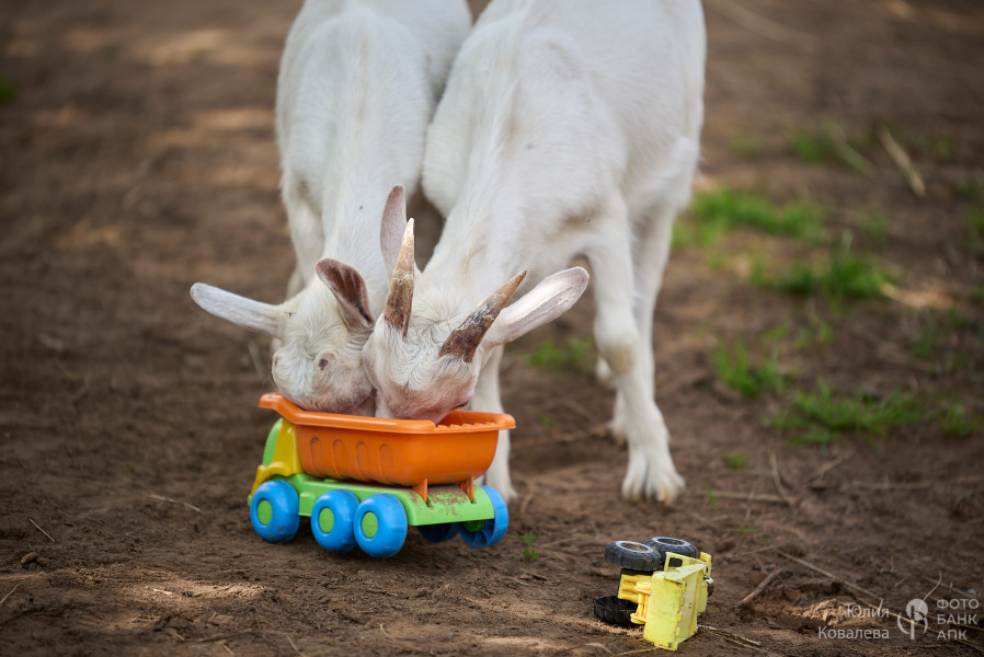 Обед привезли