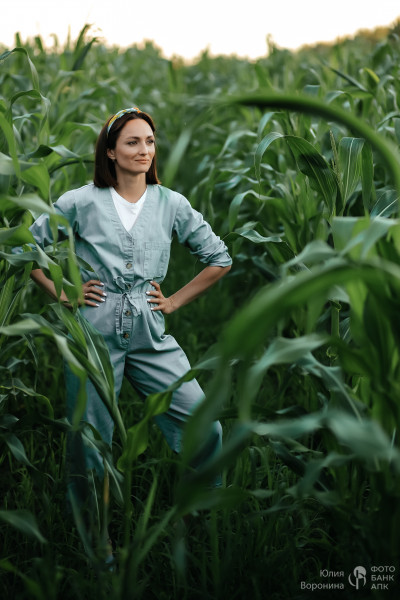 В кукурузном поле