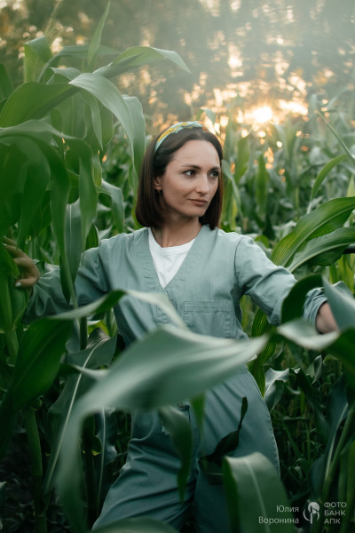 В кукурузном поле