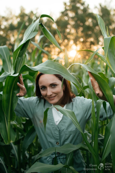В кукурузном поле