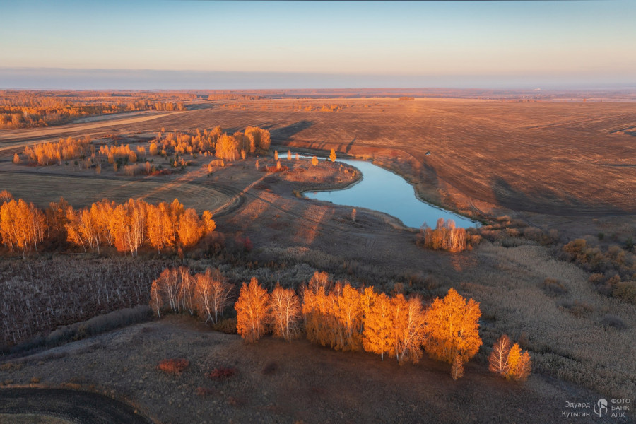 Осенние поля