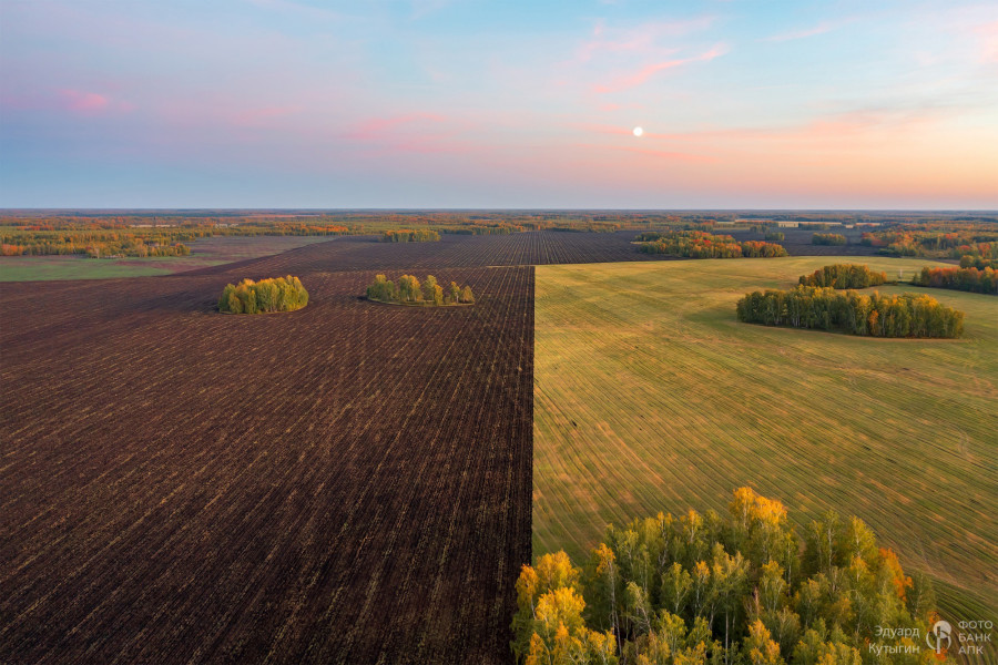 Рисунки полей