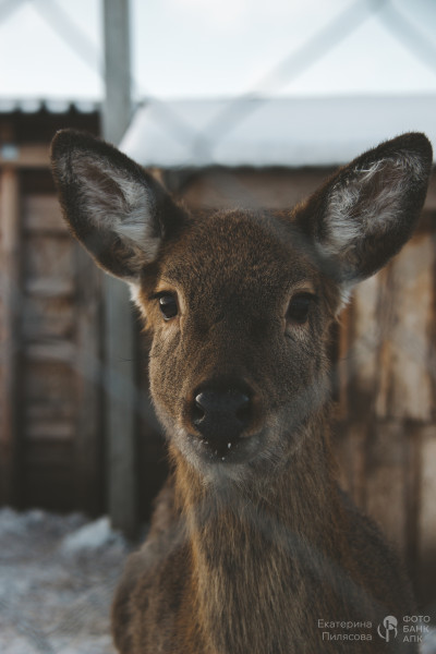 В сердце природы
