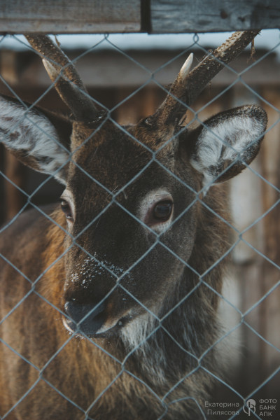 В сердце природы