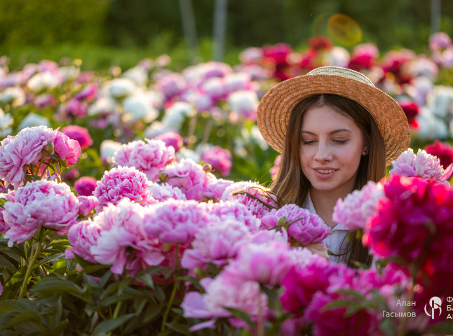 Цветущий сад, пионы