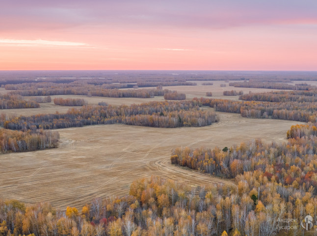 Рассветные поля. Золотая осень во всей своей красе.