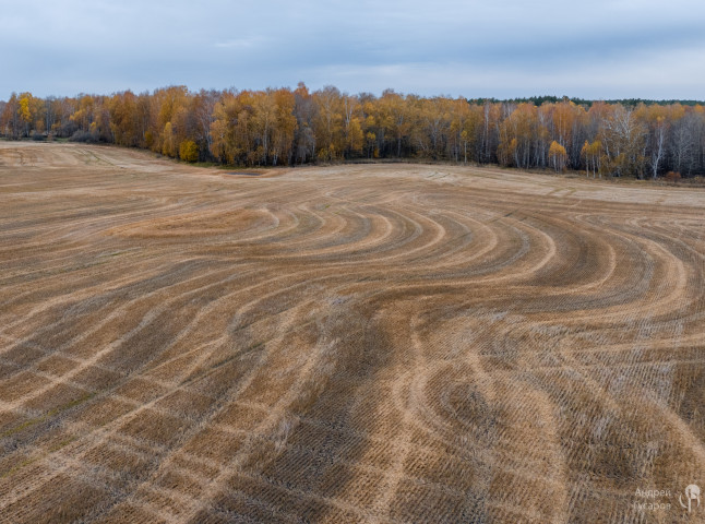 Рассветные поля. Золотая осень во всей своей красе.
