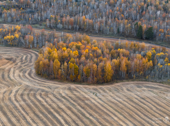 Рассветные поля. Золотая осень во всей своей красе.