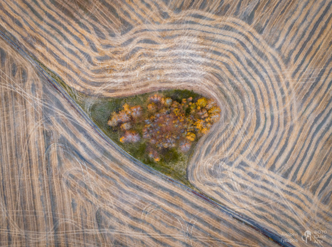 Рассветные поля. Золотая осень во всей своей красе.