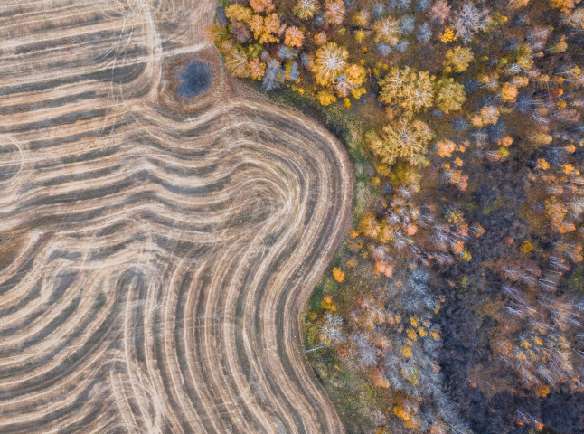 Рассветные поля. Золотая осень во всей своей красе.