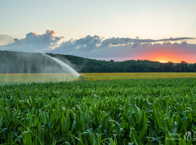 Палитра урожая.