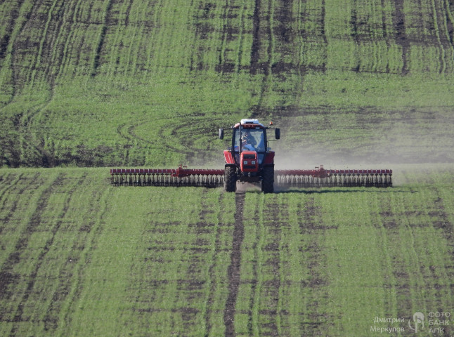 Полевые работы