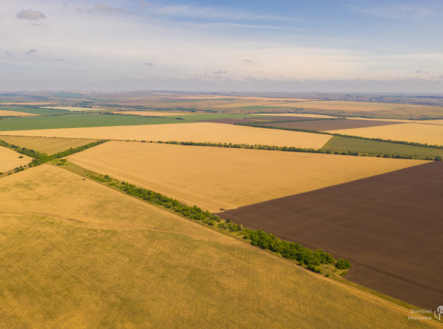 Полевая геометрия