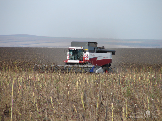 Уборка подсолнечника