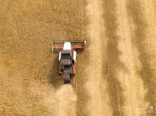 Уборка пшеницы