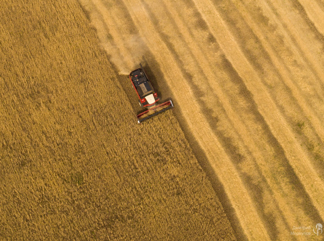 Уборка хлеба