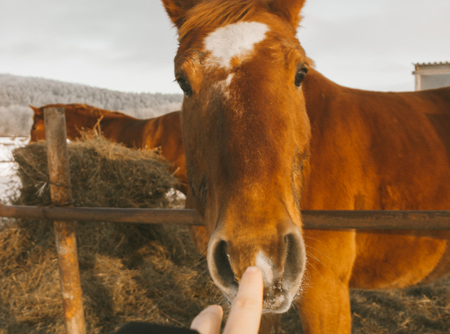 В сердце природы