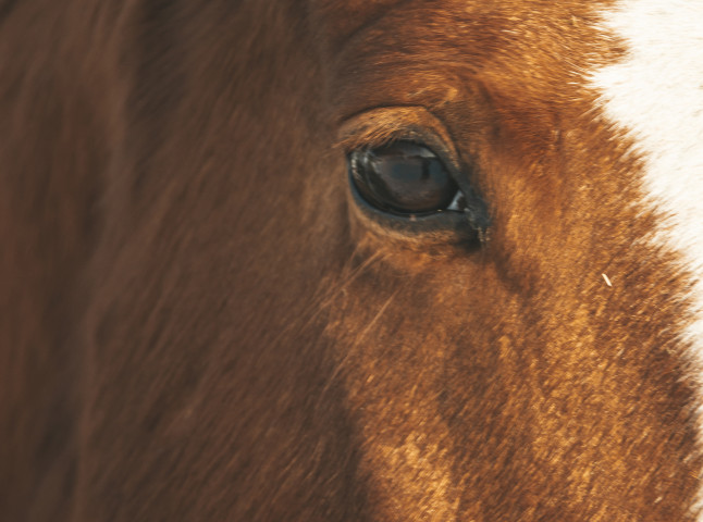 В сердце природы